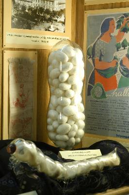 Selyemh 002.jpg - Kiállítási célokra készült üveggubó és üveghernyó gubókkal töltve, 1994.  Hódmezővásárhely (Palócz Béla)